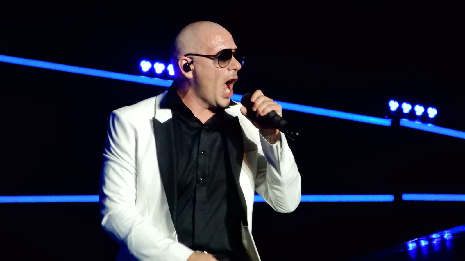 Pitbull performing live in Las Vegas; photo by slgckgc, CC BY 2.0